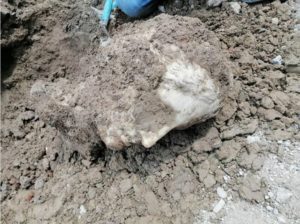 Cabeza de mármol griego encontrada en Roma