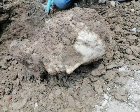 Cabeza de mármol griego encontrada en Roma